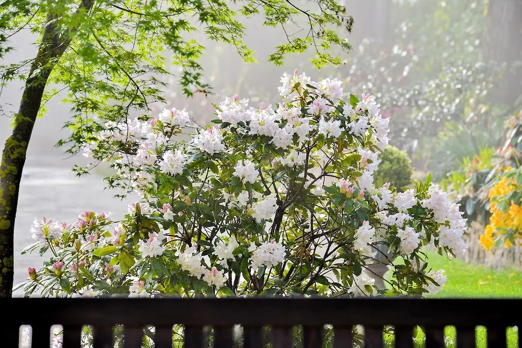 Charmilles Des Cordeliers Bed & Breakfast Paris